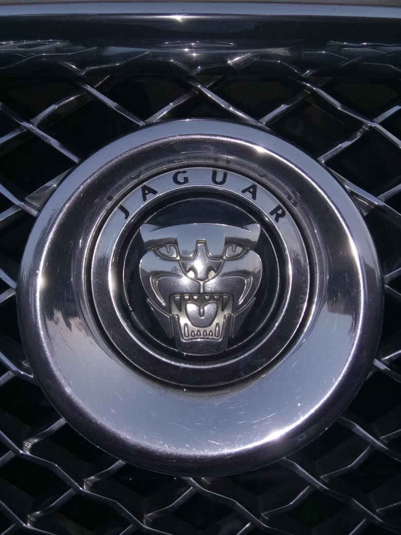 Jaguar